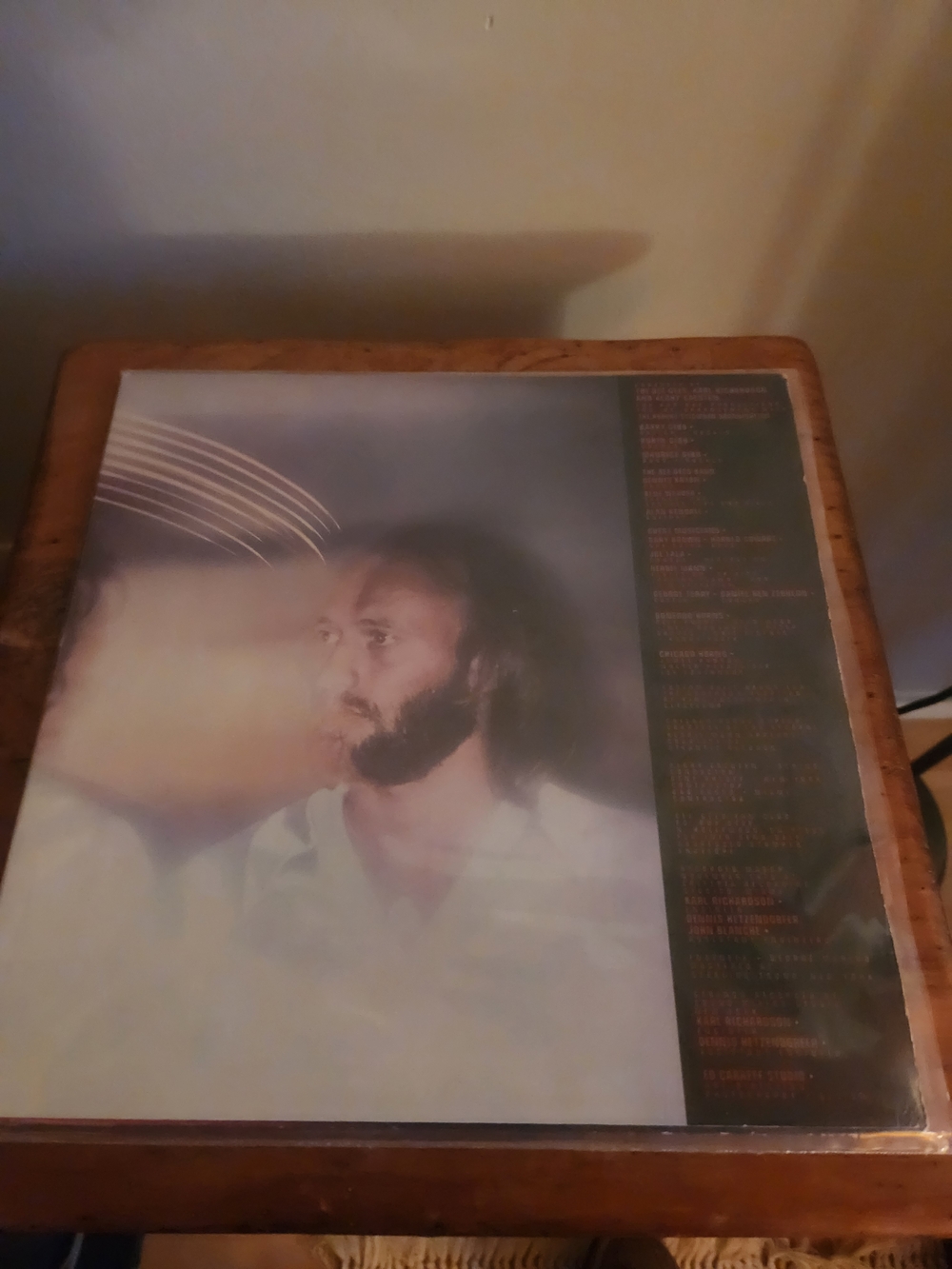 Bee Gees Vinyl LP Album Cover - Red and Black Artwork